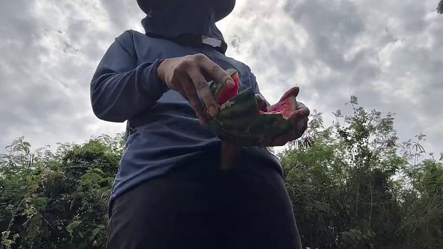 Thai Worker Cum With Watermelon