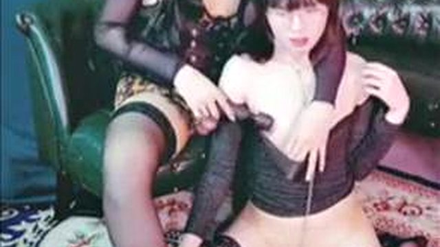 Mai 3x
