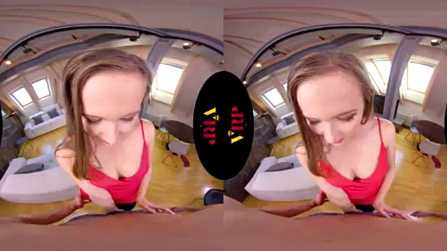 Uplfdl 3: Blowjob, Cowgirl & Missonary VR Porn
