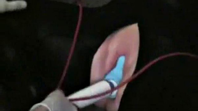 Bbw fetish games: Bondage, Fisting & Stripchat Porn