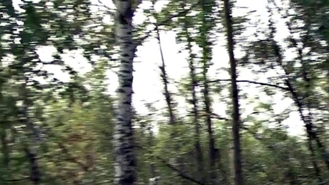 hot amateur handjob with cumshot