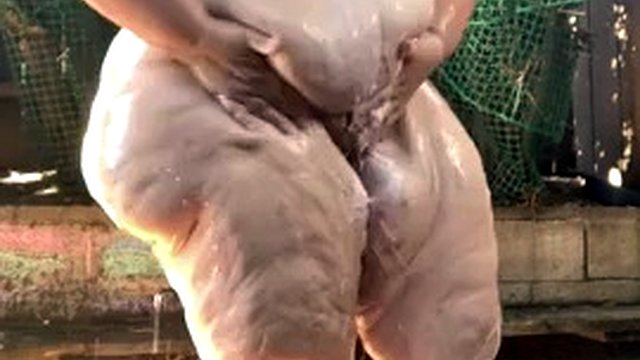 SSBBW Mega Ass In The Shower Outdoors