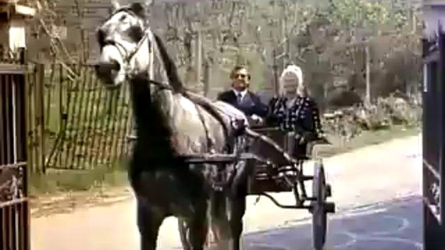 Karin Schubert classic: Blowjob, Doggy & Big Tits Porn