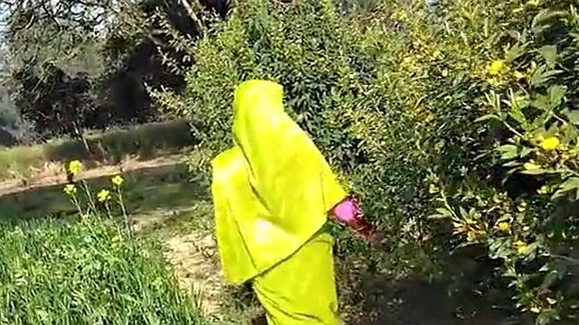 Araher Ke Khet Me Le Ja Ke Chood Diya Chachi Ko Desi Video