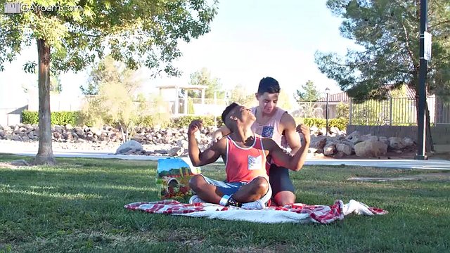 Picnic nel parco