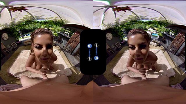 Private 2: Doggy, Cowgirl & Missonary VR Porn