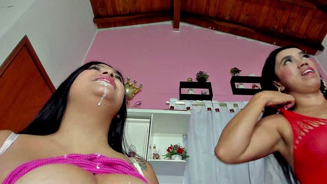 Premium Latina BBW Boobs Vol. 3