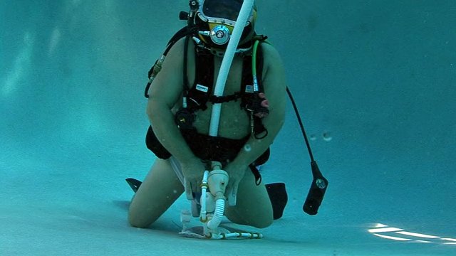 SCUBA Bear feeding pool cleaner
